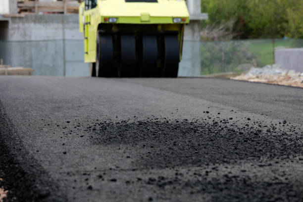 Best Driveway Pavers Near Me  in Morrisonvle, IL