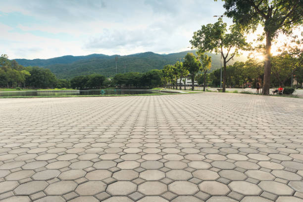 Best Affordable Driveway Pavers  in Morrisonvle, IL